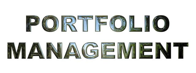 portfolio-management-2428013__340.jpg