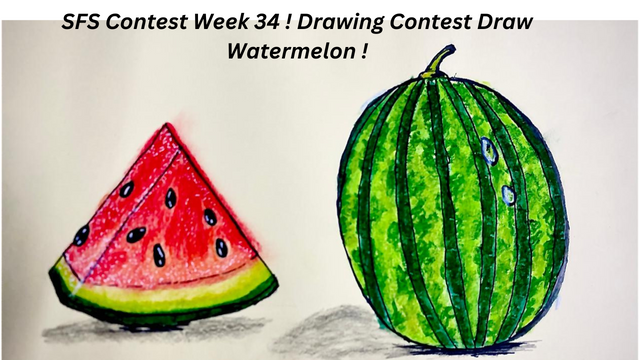 SFS Contest Week 34 ! Drawing Contest Draw Watermelon !.png