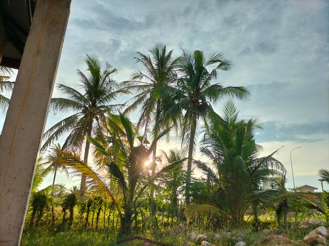 IMG20250415180138.jpg