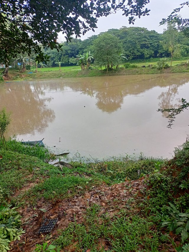 IMG20250914170630.jpg