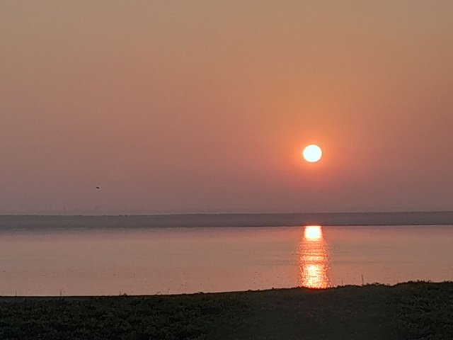 1000054400.jpg