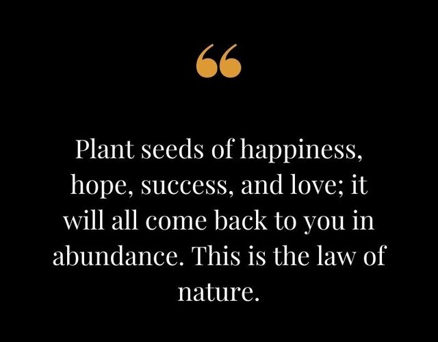 Plant-seeds-of-happiness-hope-success-and-love-it-will-all-come-back-to-you-in-abundance.-This-is-the-law-of-nature.-Steve-Maraboli.jpg