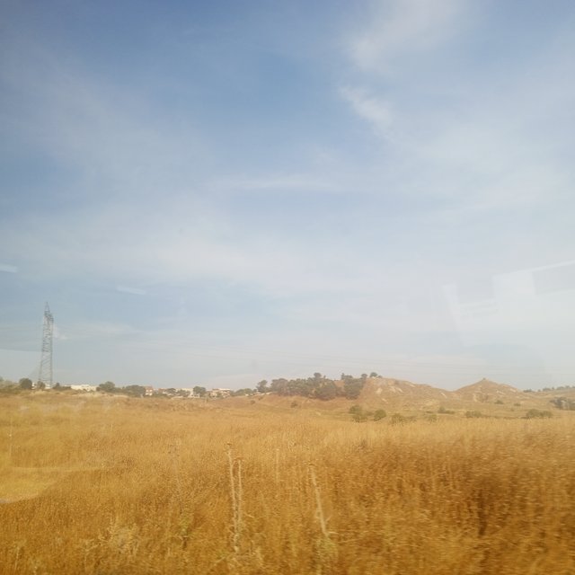 IMG_20250802_194500_373.jpg