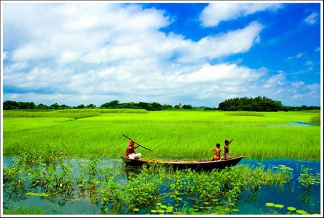 River-Boats-and-Boatmen-of-Bangladesh.jpg