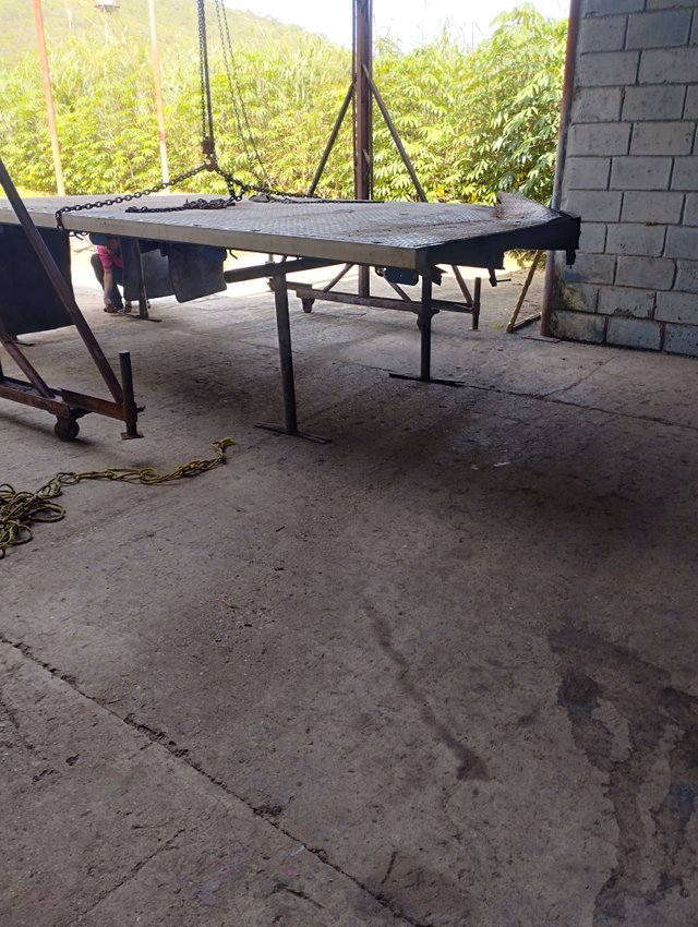 IMG_20250528_152829.jpg
