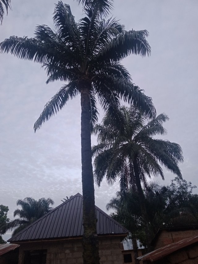 IMG20220605184238.jpg