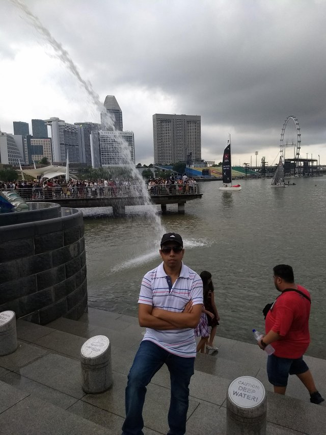 ALOK photo merlion.jpg