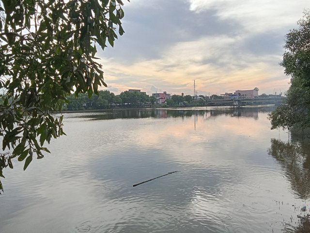 1000053273.jpg