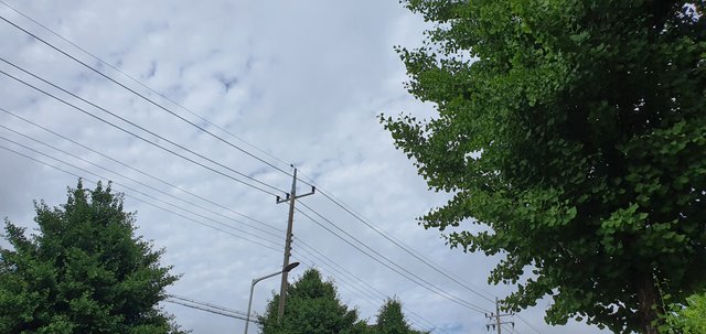 20210604_082419.jpg
