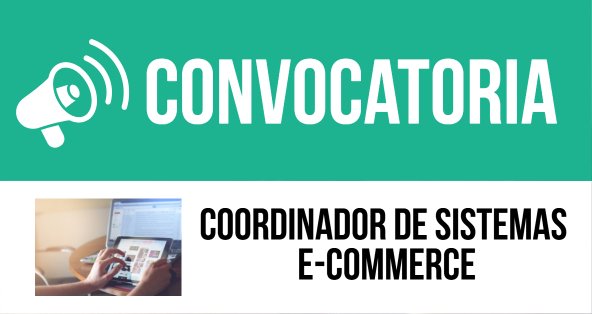 coordinador-de-sistemas-ecommerce.jpg