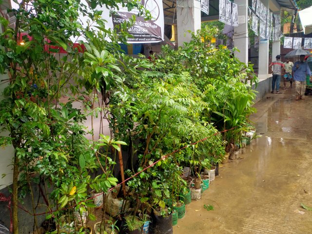 IMG20250618120135.jpg