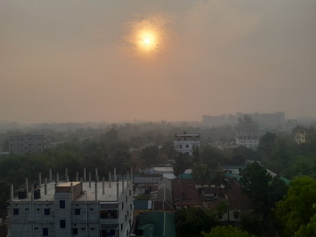 20250421_065940.jpg