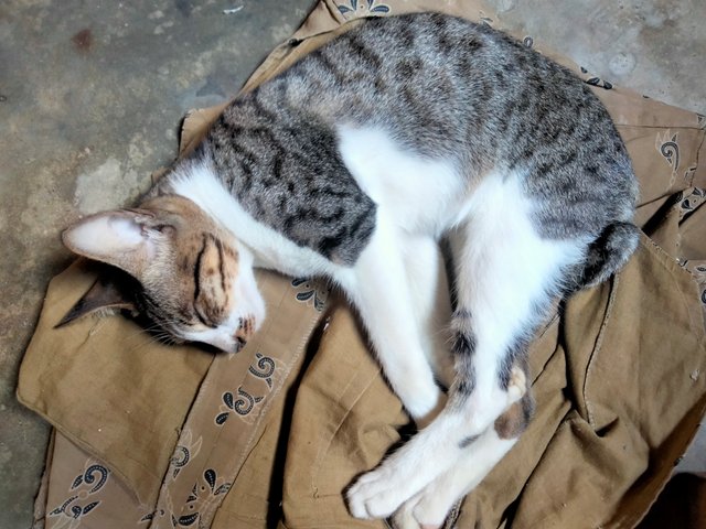 IMG20251010122656.jpg