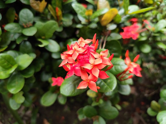 IMG_20250714_173046.jpg