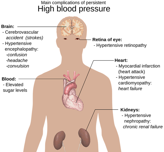 anatomy-of-the-human-body-1279987_640.png