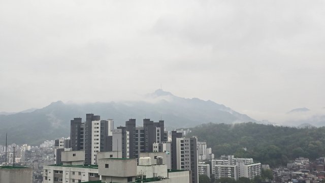 1000122342.jpg