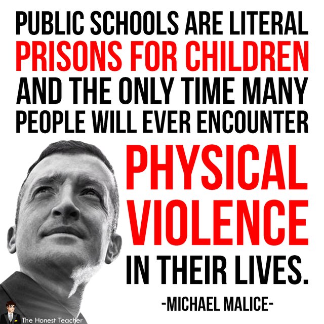 public school michael malice.jpg