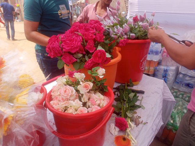 IMG20250414110322.jpg