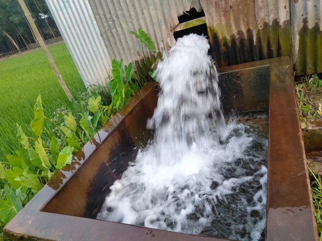 IMG20250326174556.jpg