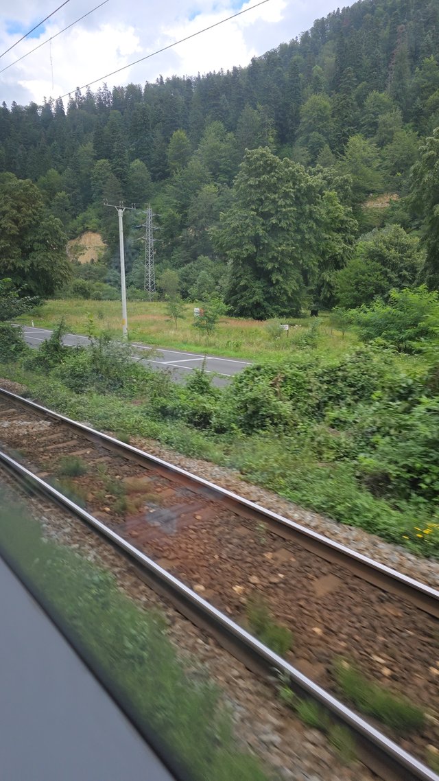 1000037305.jpg