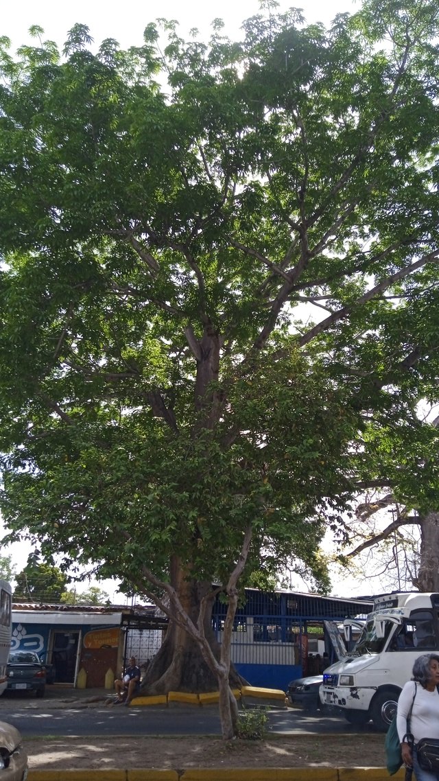 IMG_20250502_092558.jpg