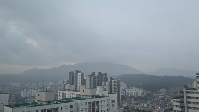 1000141147.jpg