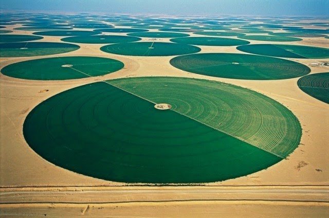 kebun_wadi_rum.jpg