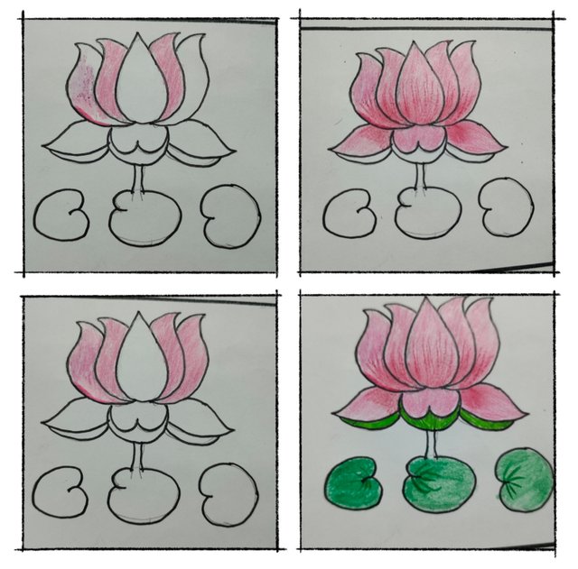 1000248510.jpg