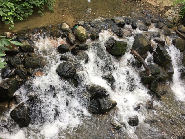 IMG0789.JPG