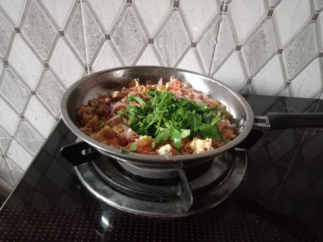 IMG20250419082227.jpg