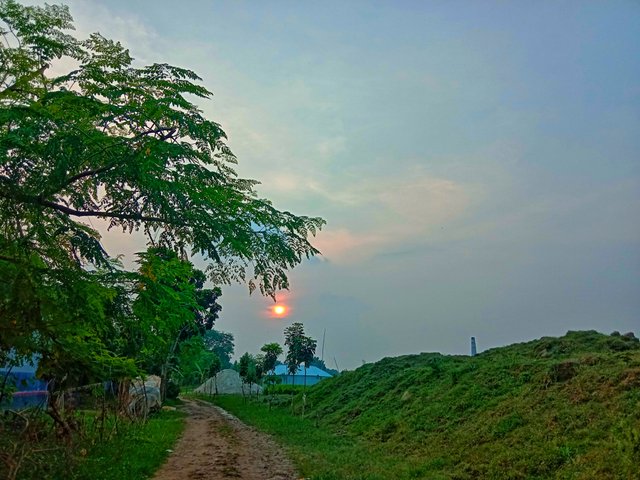 IMG_20250925_074252.jpg