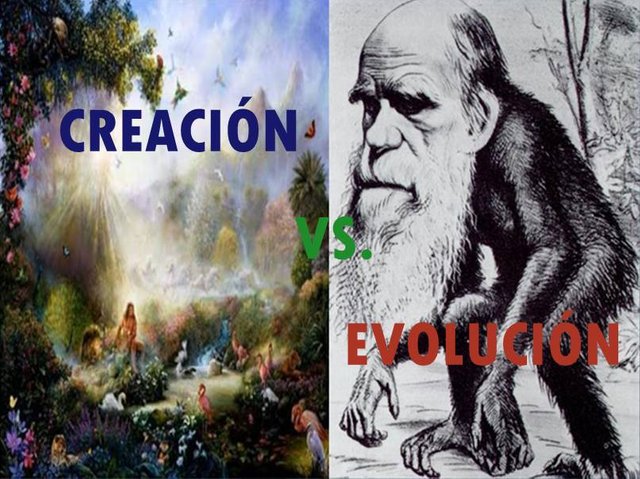 creacion-vs-evolucion.jpg