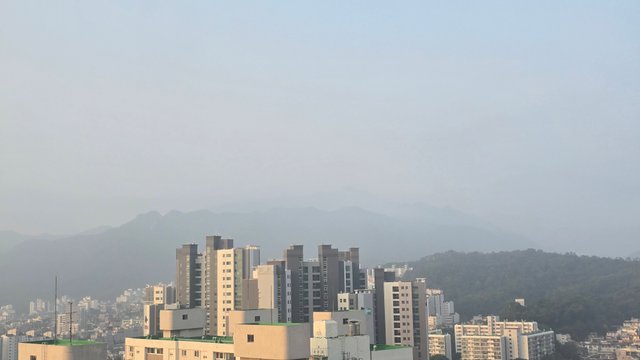 1000129519.jpg