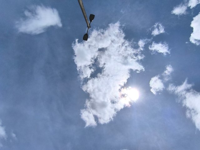1000589014.jpg