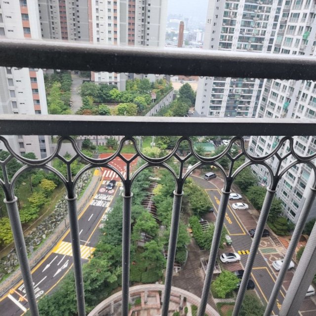 KakaoTalk_20250916_132826902.jpg