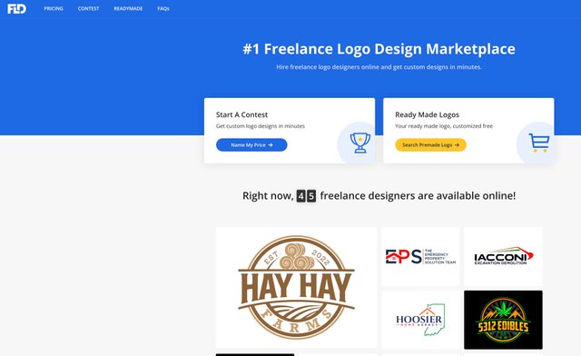 49. Freelance Logo Design.jpg