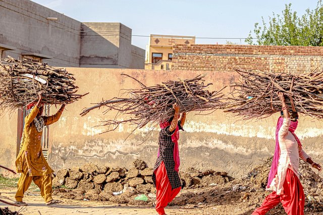 india-7069656_1280.jpg