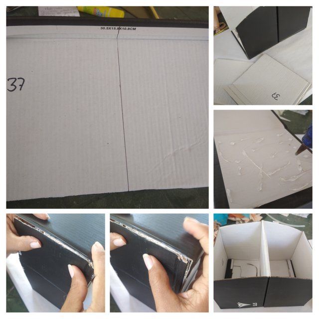 20250623_175532-COLLAGE.jpg