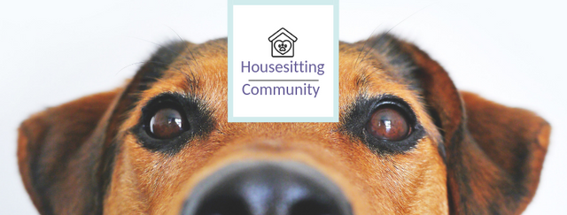 Housesitting Community.png