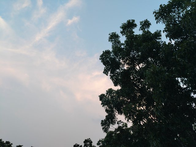 1000030042.jpg
