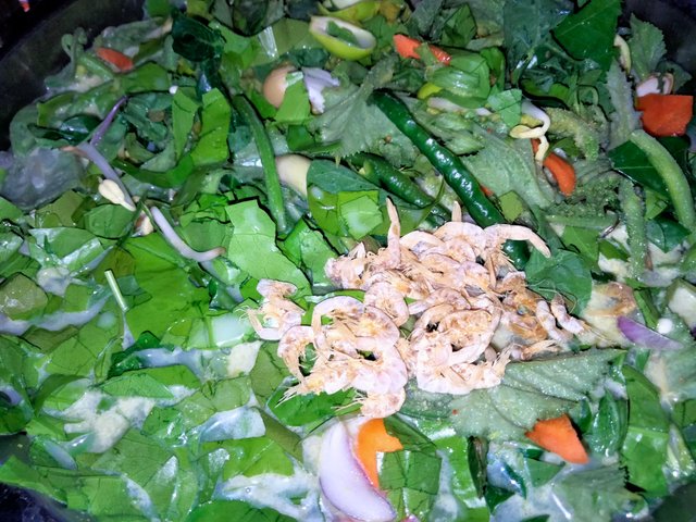 IMG20250703114228.jpg
