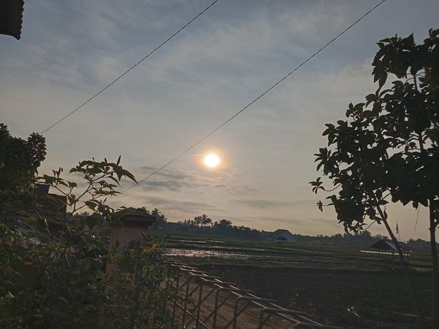 IMG20250728072208.jpg
