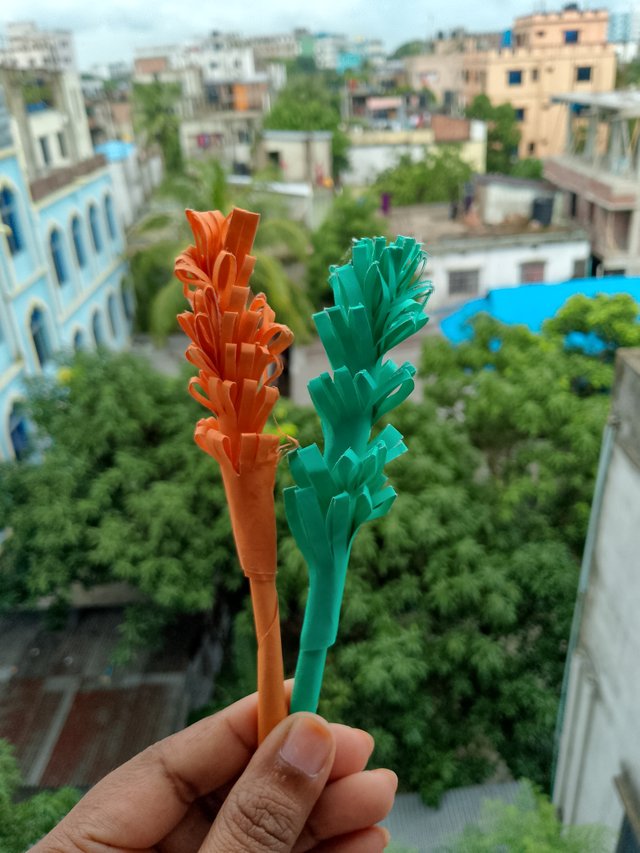 1000057650.jpg