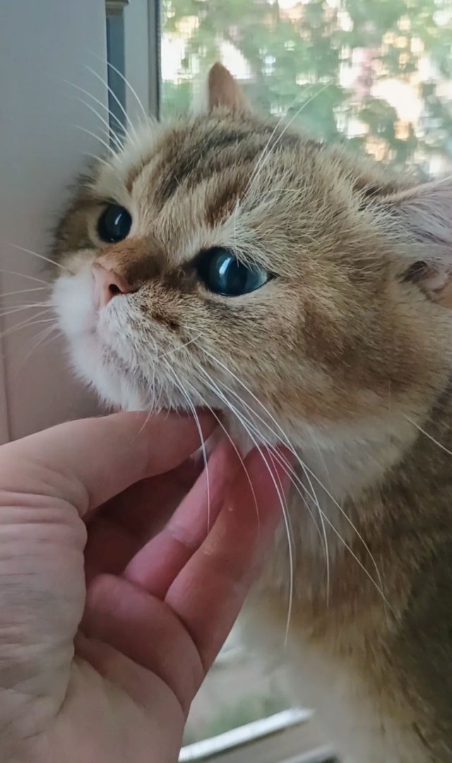 1000003025.jpg