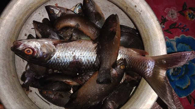 IMG_20250819_072704_848.jpg