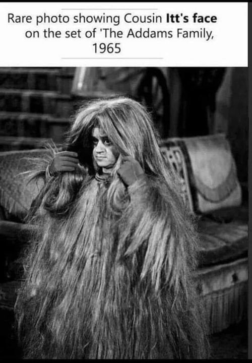 addams family Felix Silla appeared as Cousin Itt.jpg