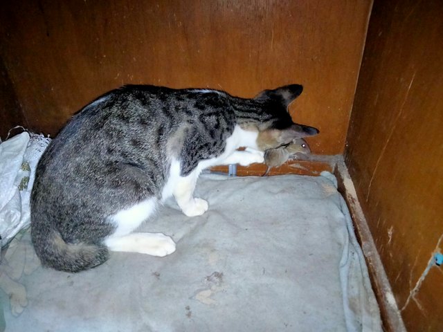 IMG20250825221122.jpg