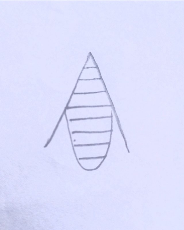IMG_20250918_093800_104.jpg