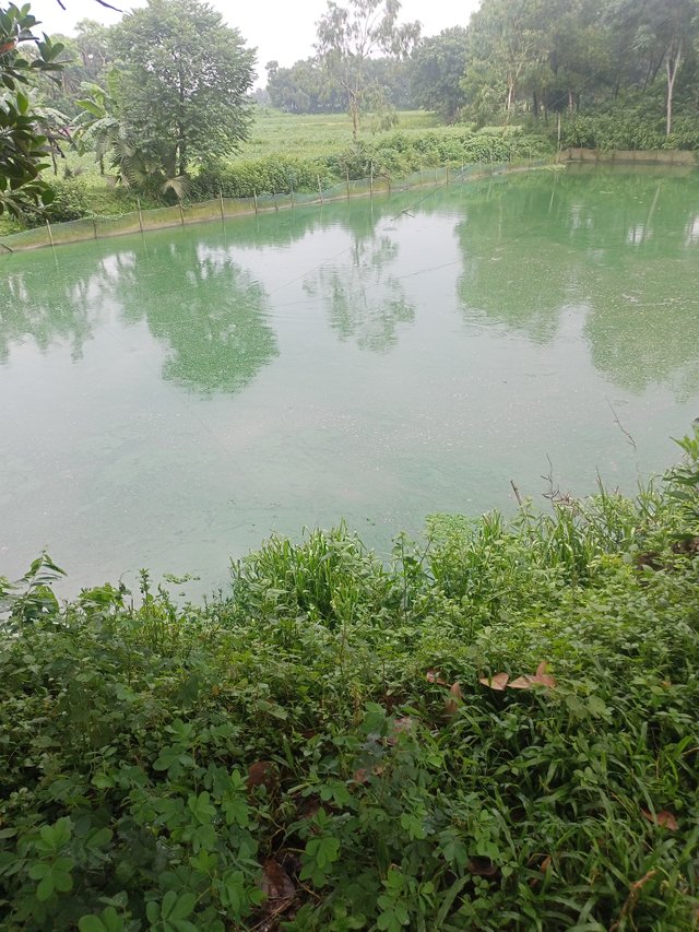 IMG20250727172215.jpg