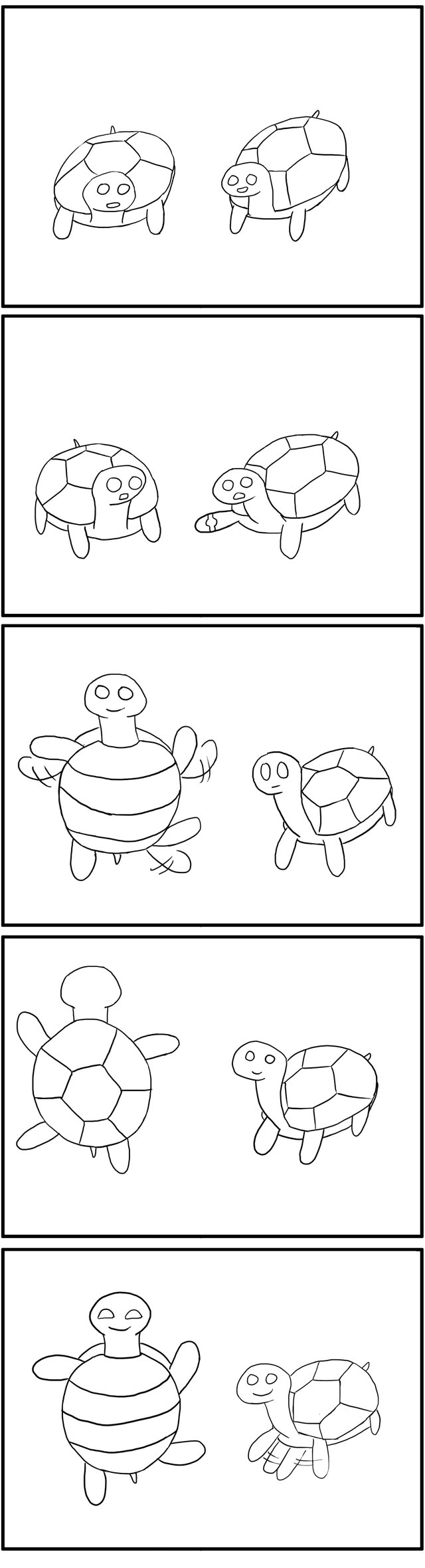 turtle copy2.jpg